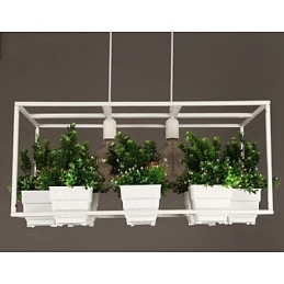 Luminária pendente de design decorativo contemporâneo moderno (não inclui plantas)