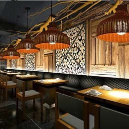 Para Ri Creative Simple Single Head Bamboo Chandelier Lustre