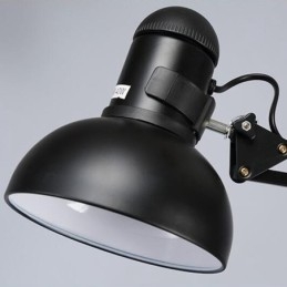 6 Luzes Modernas Contemporâneas Lustre de Camada Única Lâmpada de Luz