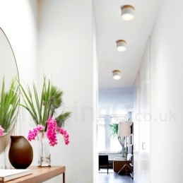 Mini luminária de teto de design moderno de madeira com cúpula de acrílico especial para também pode ser usada como luminária de parede
