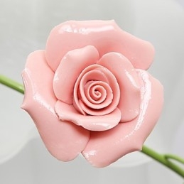 Dia dos Namorados As flores e plantas do Rose Garden absorvem a luz da cúpula