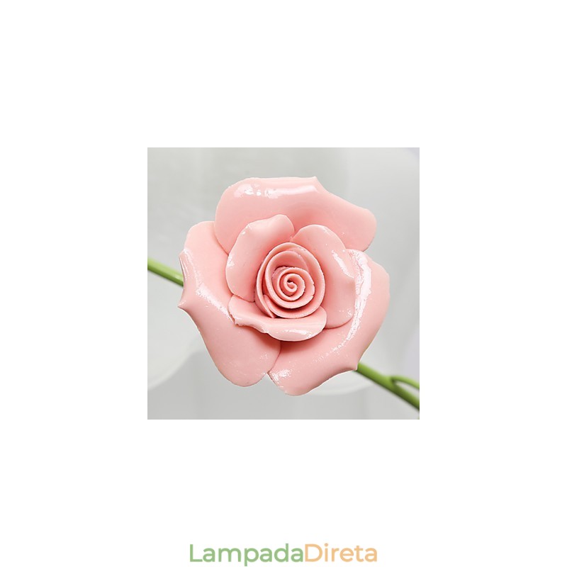 Dia dos Namorados As flores e plantas do Rose Garden absorvem a luz da cúpula
