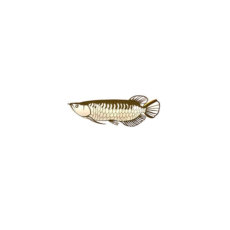 Luminárias de parede modernas em formato de peixe, estilo simples, iluminação acrílica, sala de estar, corredor, quarto, quartos de hotel, iluminação de decoração