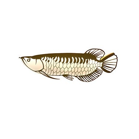 Luminárias de parede modernas em formato de peixe, estilo simples, iluminação acrílica, sala de estar, corredor, quarto, quartos de hotel, iluminação de decoração Luminárias de parede modernas em formato de peixe, estilo simples, iluminação acrílica, sala de estar, corredor, quarto, quartos de hotel, iluminação de decoração