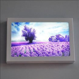Pintura moderna contemporânea integrada, recurso de pintura contemporânea para arandelas de parede com luz ambiente