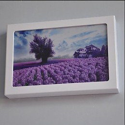 Pintura moderna contemporânea integrada, recurso de pintura contemporânea para arandelas de parede com luz ambiente