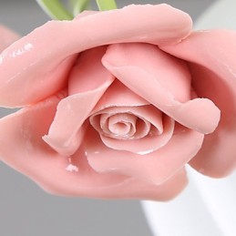 Dia dos Namorados As flores e plantas do Rose Garden absorvem a luz da cúpula