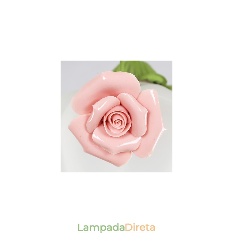 Flores e plantas de jardim do Dia dos Namorados absorvem luz de cúpula