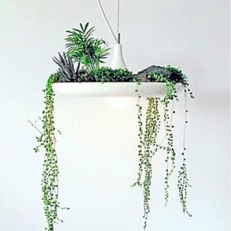 Moderno Contemporâneo Outros Metal Pendente Luz
