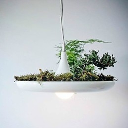 Droplight de alumínio Nordic Creative Contracted Sky Garden Lâmpadas e lanternas Luz Sem solo Planta