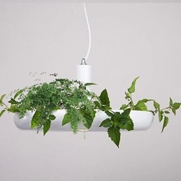 Droplight de alumínio Nordic Creative Contracted Sky Garden Lâmpadas e lanternas Luz Sem solo Planta